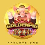 Golden Pig 777