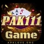 Pak 111 Game