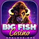 Big Fish Casino