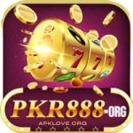 PKR888 Game