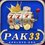 PAK33 Game