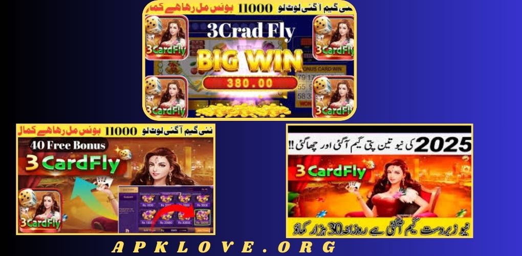 3CardFly Game