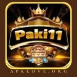 Paki11 Game APK