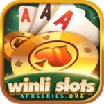 Winli Slots App