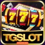 TG Slot Game