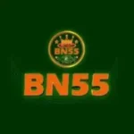 BN 55 Game