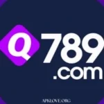 Q789 Game